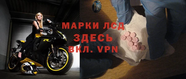 ешки Аркадак