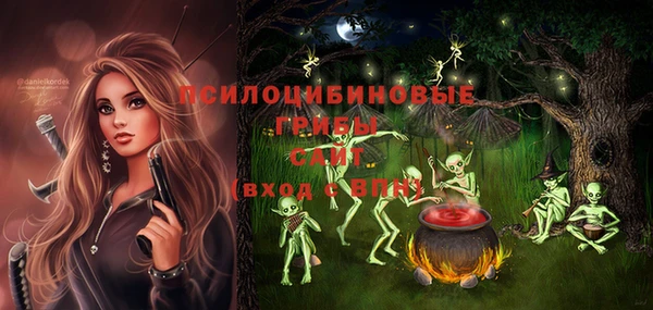 ешки Аркадак